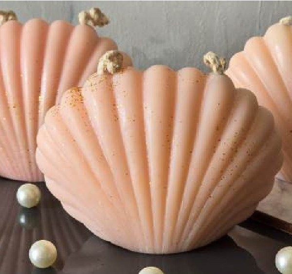Shell Candle