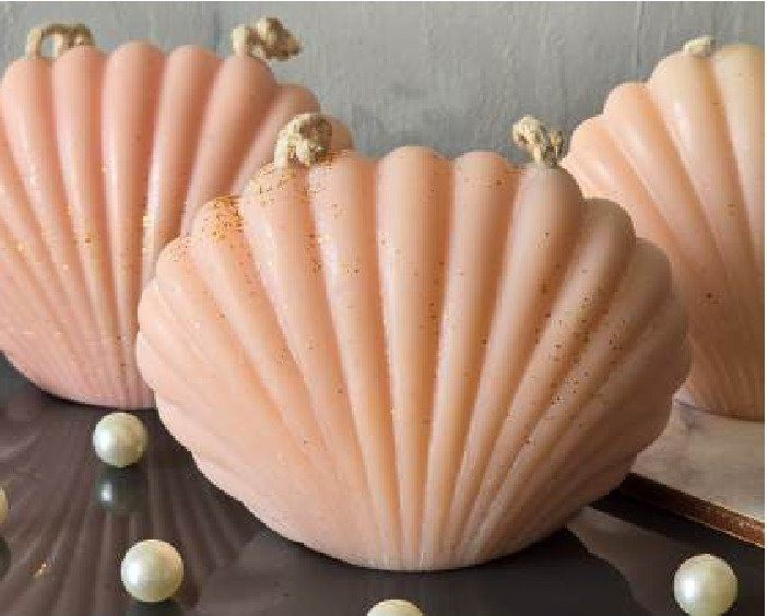 Shell Candle