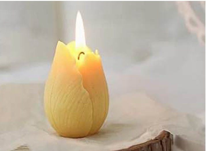 Tulip Candle